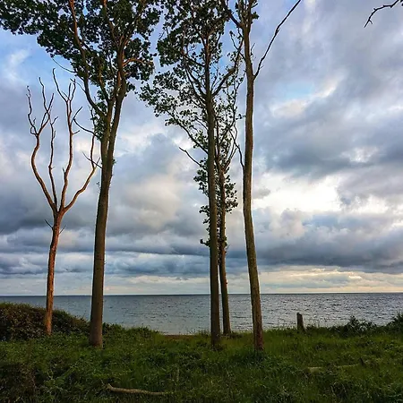 4 Person In * Karrebæksminde