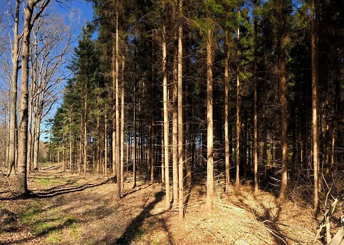 4 Person In Casa vacanze